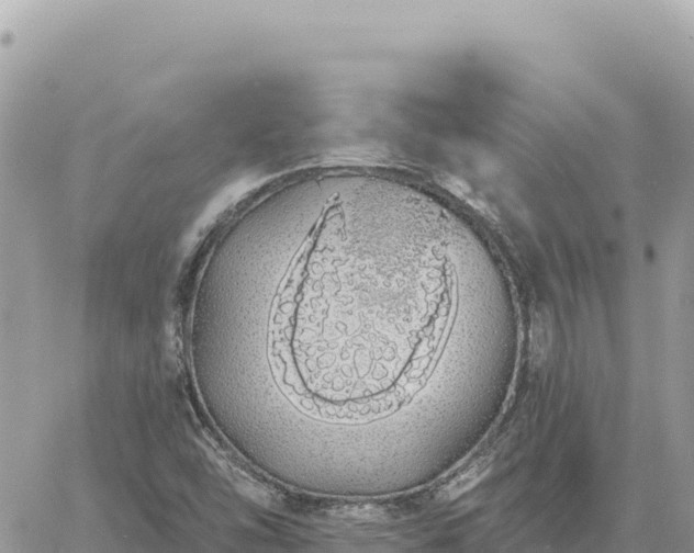 X0000060761454200511171136