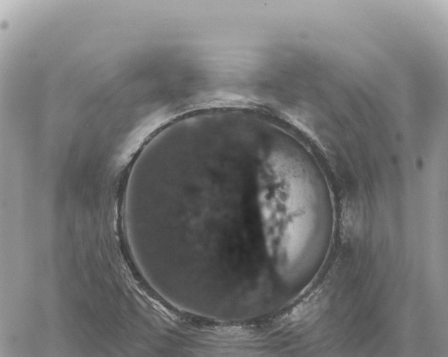 X0000060761455200511171136