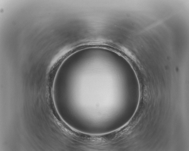 X0000060761456200511171136