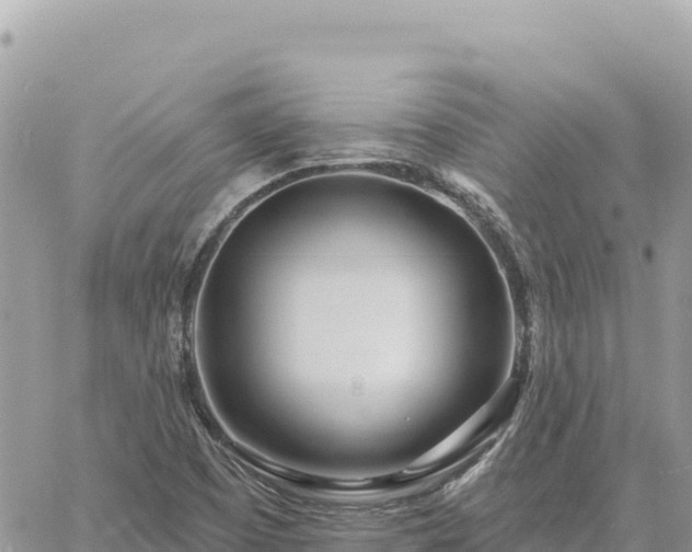 X0000060761457200511171136