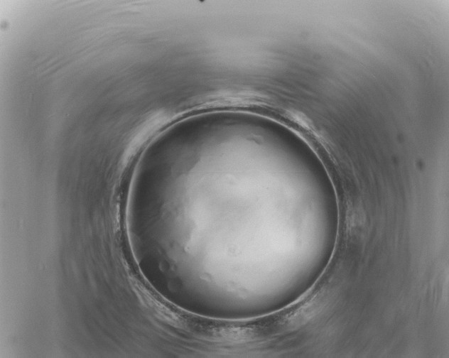 X0000060761459200511171136