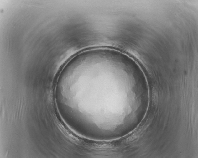 X0000060761460200511171136