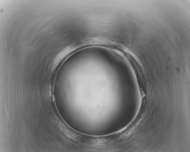 X0000060761461200511171136