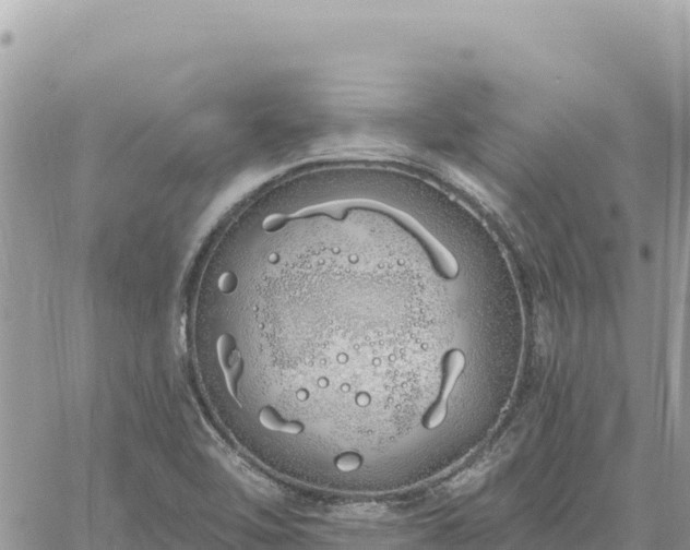 X0000060761462200511171136