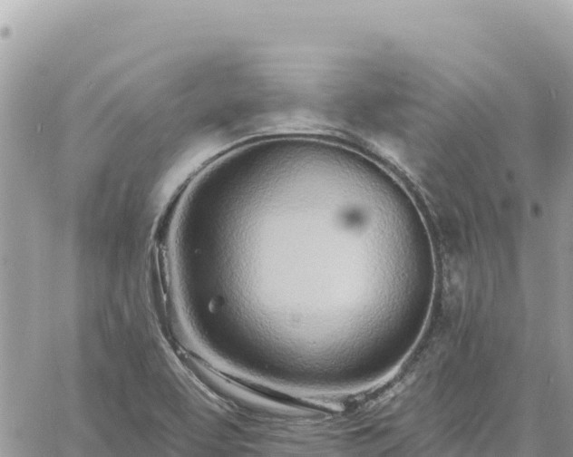 X0000060761463200511171136