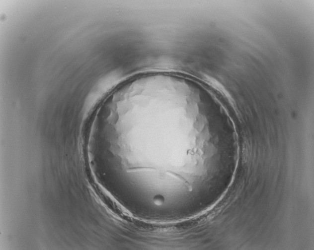 X0000060761464200511171136