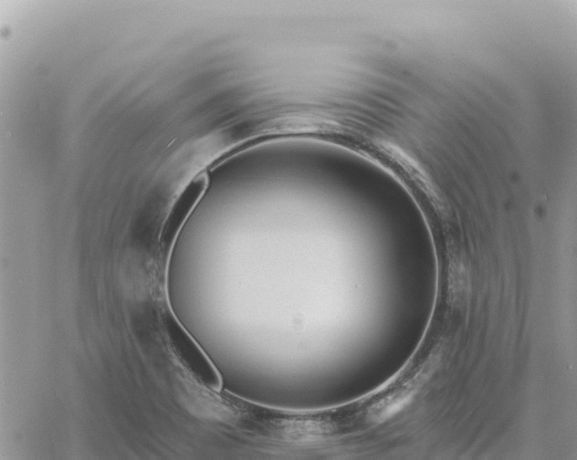 X0000060761465200511171135