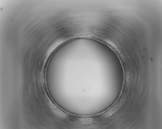 X0000060761466200511171135