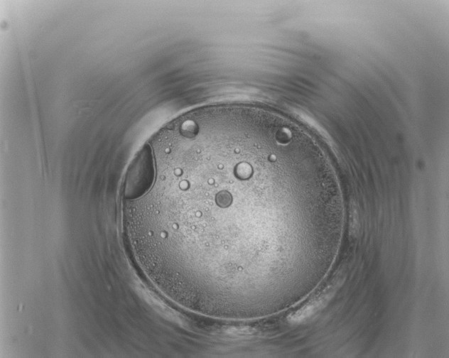 X0000060761467200511171135