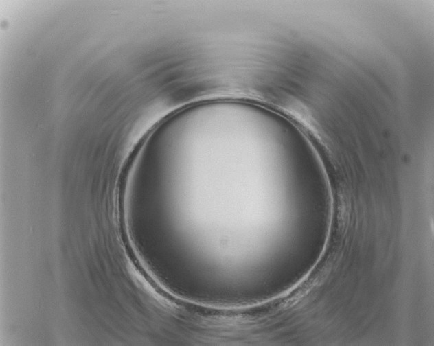 X0000060761468200511171135