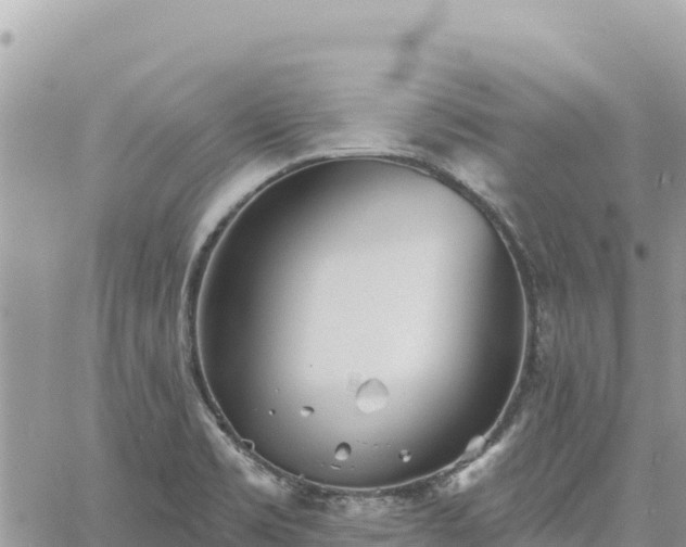 X0000060761469200511171135