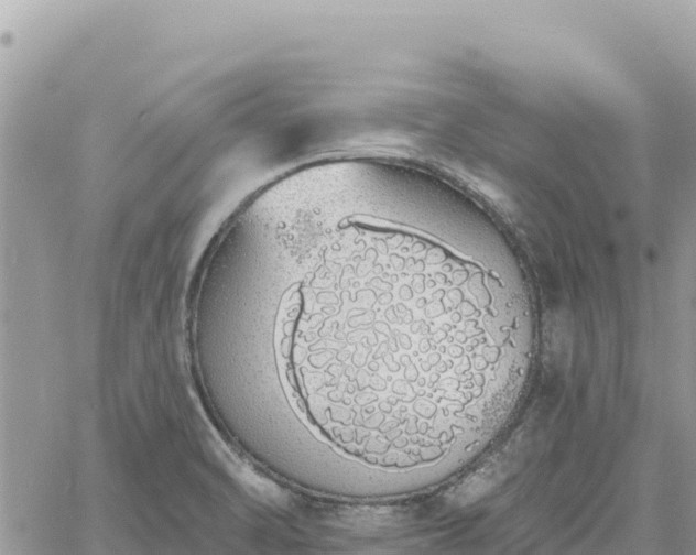 X0000060761470200511171135