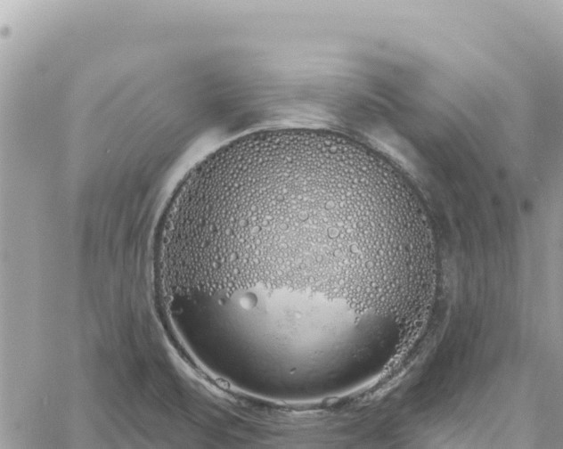 X0000060761471200511171135