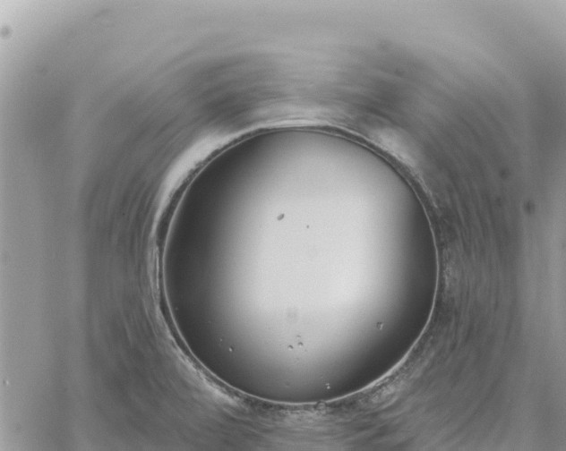 X0000060761472200511171135