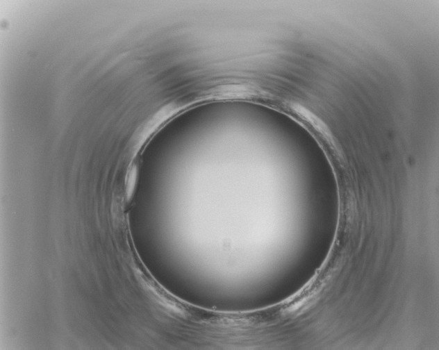 X0000060761473200511171135