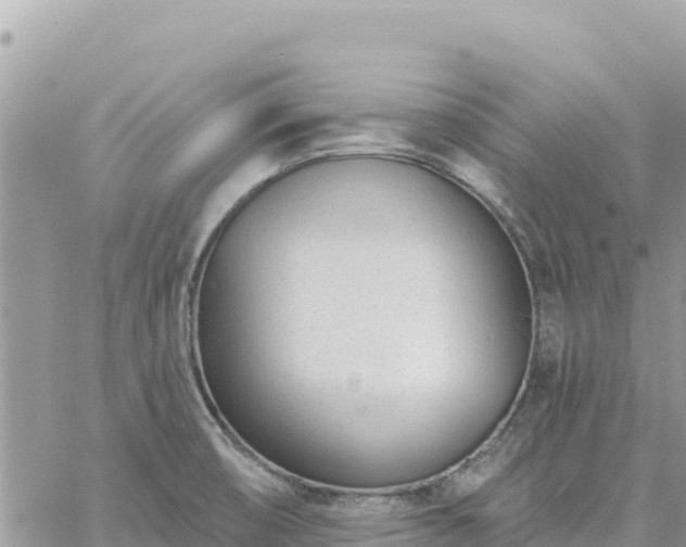 X0000060761474200511171135