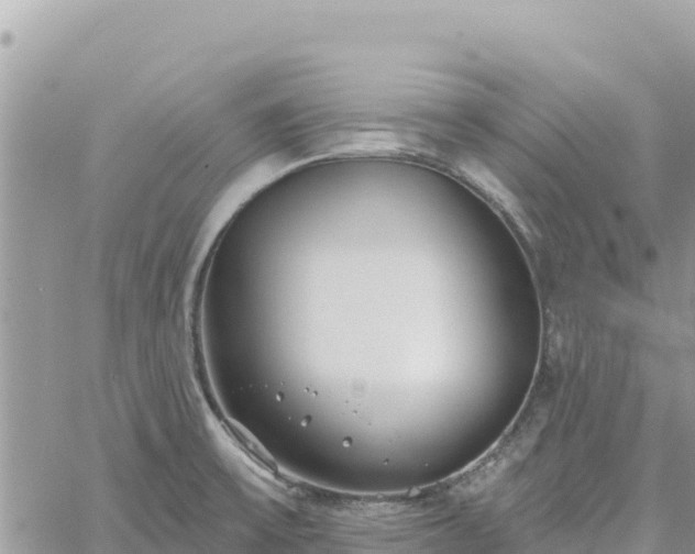 X0000060761475200511171135