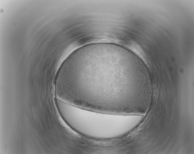 X0000060761476200511171135