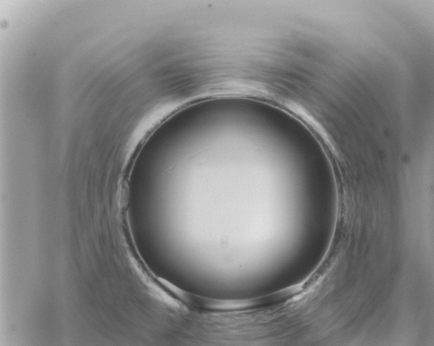 X0000060761477200511171135