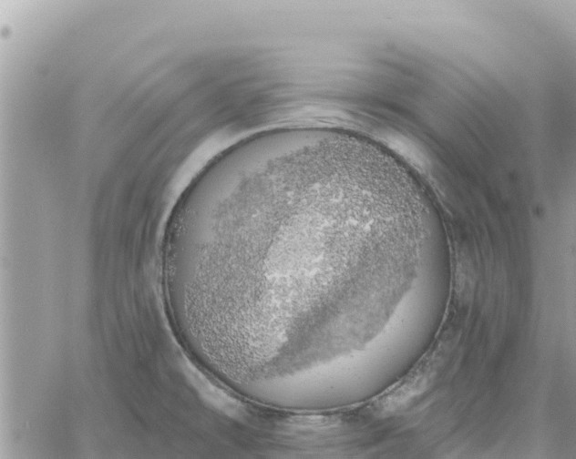 X0000060761478200511171135