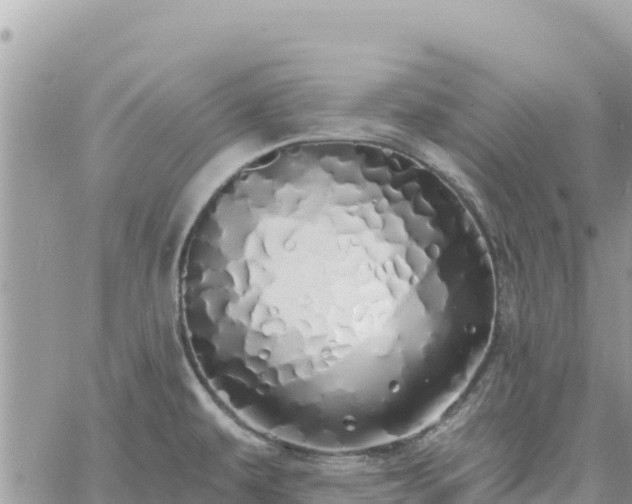 X0000060761479200511171135