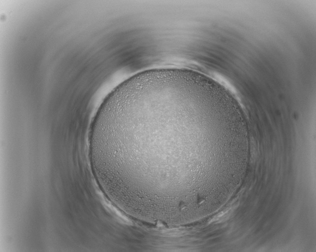 X0000060761480200511171135