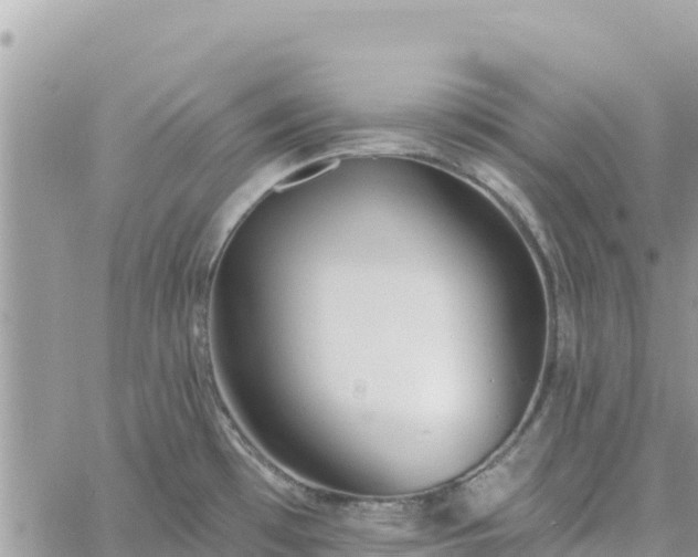 X0000060761481200511171135