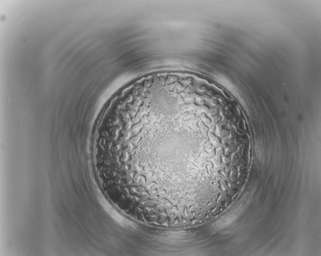 X0000060761482200511171135