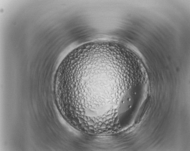 X0000060761483200511171135