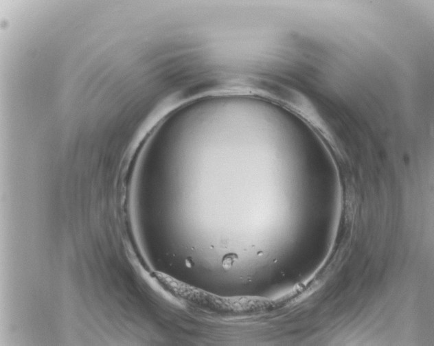 X0000060761484200511171135