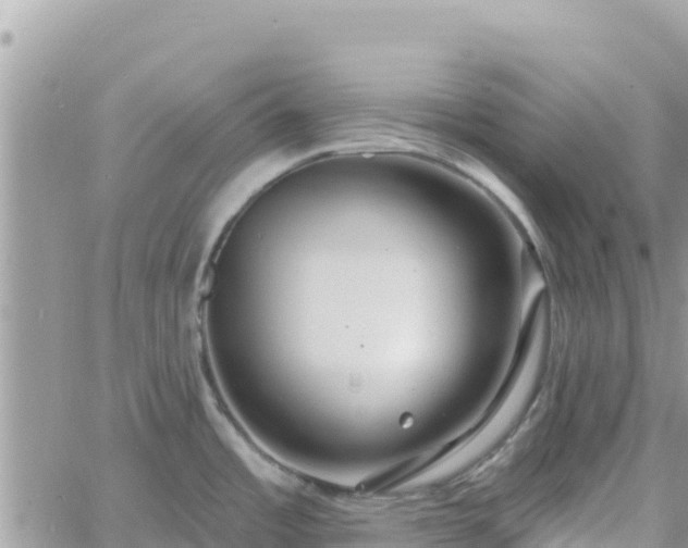 X0000060761485200511171135