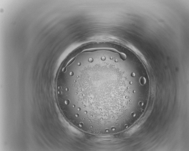 X0000060761486200511171135