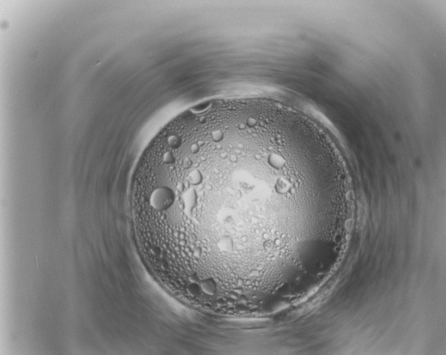 X0000060761487200511171135