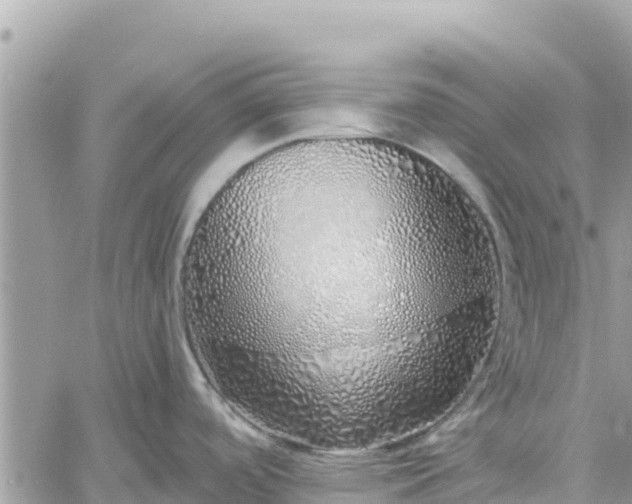 X0000060761488200511171135