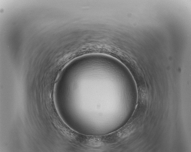 X0000060761489200511171134