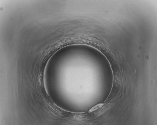 X0000060761490200511171134