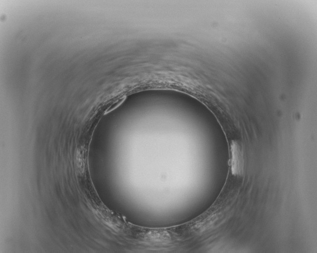 X0000060761491200511171134