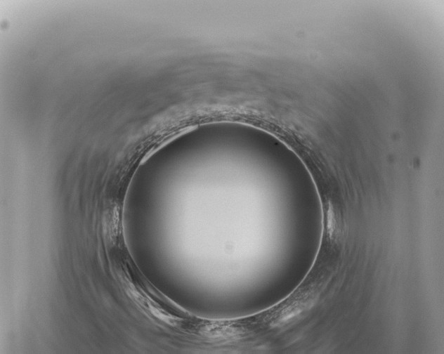 X0000060761492200511171134