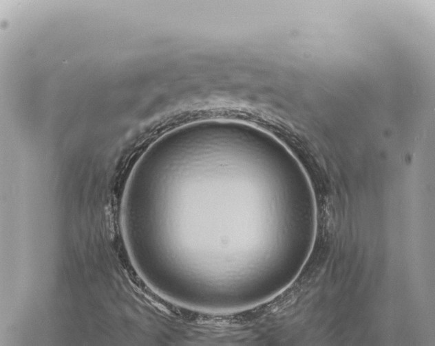 X0000060761493200511171134