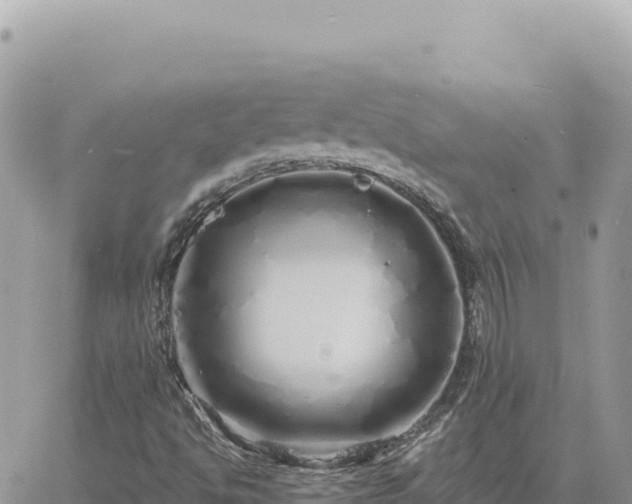 X0000060761494200511171134