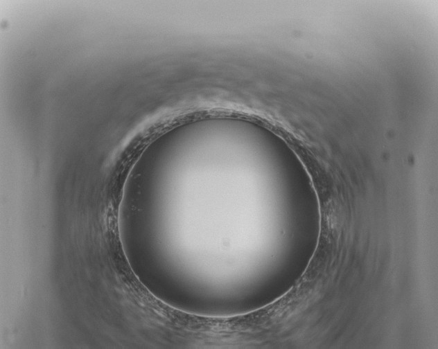 X0000060761495200511171134