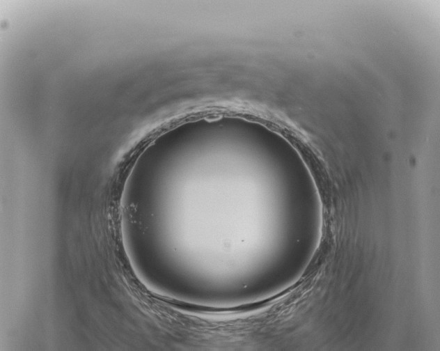 X0000060761496200511171134