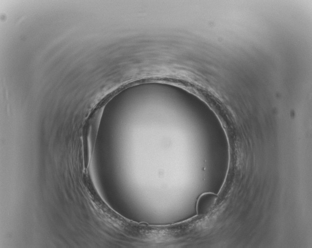 X0000060761497200511171134