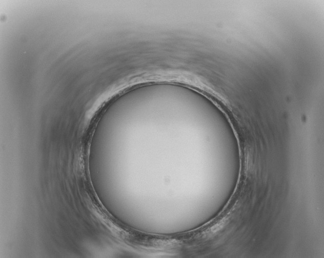 X0000060761498200511171134