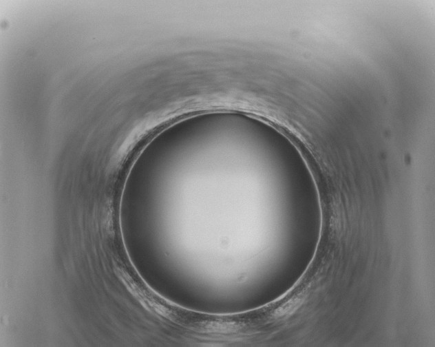 X0000060761499200511171134