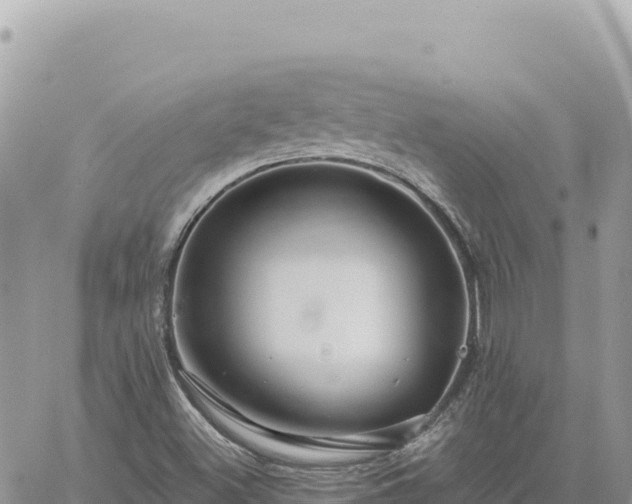 X0000060761500200511171135