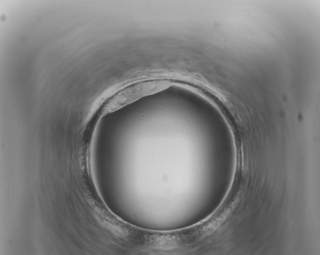 X0000060761501200511171135