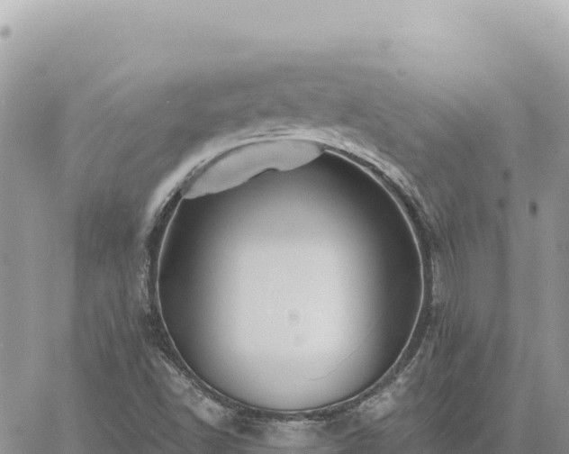 X0000060761502200511171135