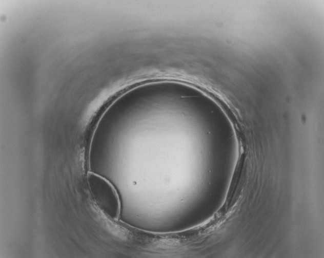 X0000060761503200511171135