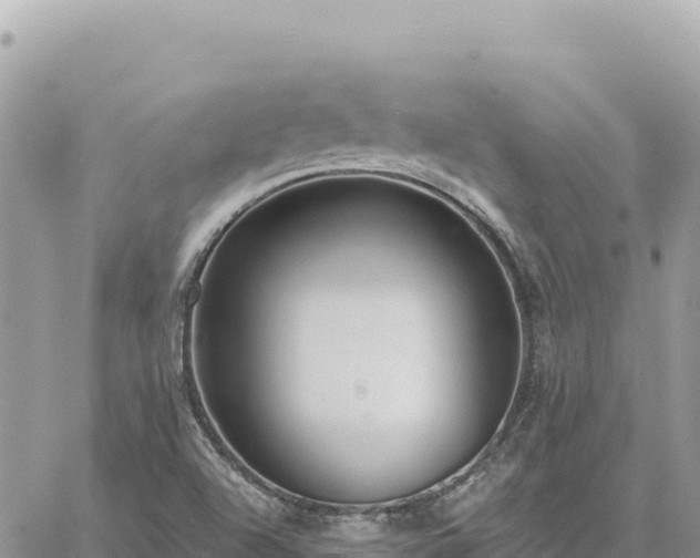 X0000060761504200511171135